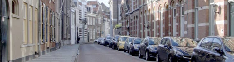 gratis parkeren den bosch